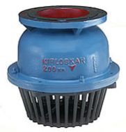 Foot Valve