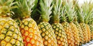 Fresh Pineapple