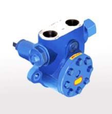 Internal Gear Pump