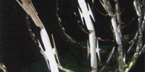 Razor Helical Type I and II