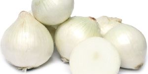 Fresh White Onion