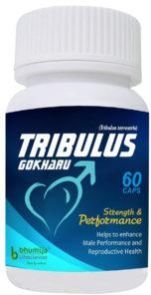 TRIBULUS GOKHARU CAPSULES