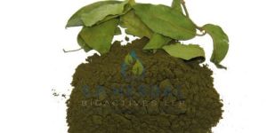 Gymnema Sylvestre Extract