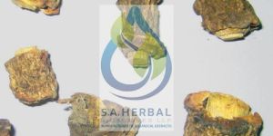 Hemidesmus Indicus Extract