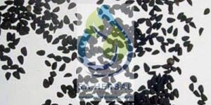 Nigella Sativa Extract