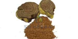 Salacia Reticulata Oblonga Extract