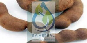 Tamarindus Indica Extract