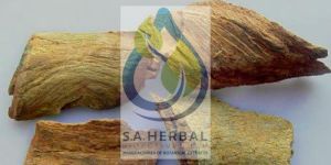 TERMINALIA ARJUNA EXTRACT