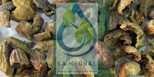 Terminalia Belerica Extract