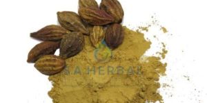 Terminalia Chebula Extract