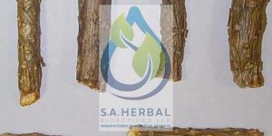 Tinospora Cordifolia Extract