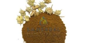 Tribullus Terrestris Extract