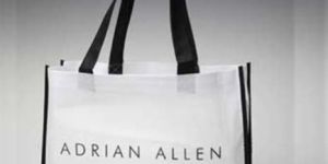 Non Woven Bags / Non Woven Paper Bags