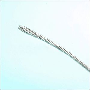 All Aluminium Conductors (AAC)