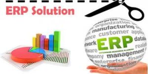 Customized ERP Software Development Services