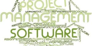 Project Management Software Development Services
