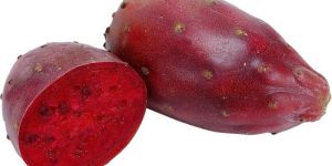 Prickly Pear