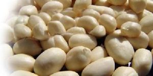 Blanched & Roasted Peanuts