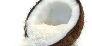 Desiccated Coconut Powder