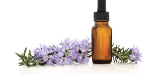 Bach Flower Remedies Services