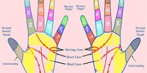 Palmistry Services