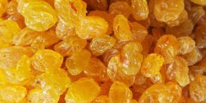Golden Raisins