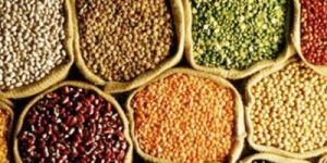 Indian Pulses