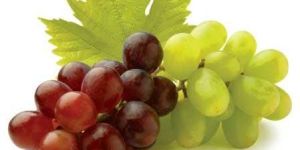 Fresh Grapes