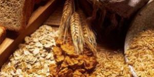 Food Grains