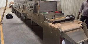 Sterilization and Disinfestations System