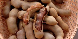 Fresh Tamarind