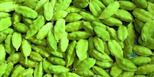 Green Cardamom