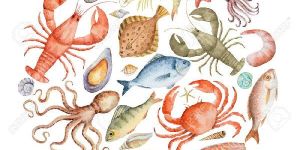 Sea Food