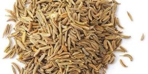 Cumin Seed