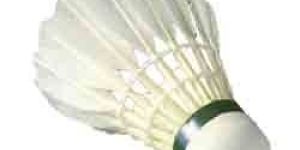 Badminton Shuttlecocks