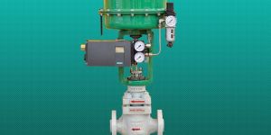 Top Guided Globe/Angle Control Valves