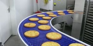 Modular Belt Conveyor System