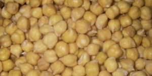 Chickpeas Seed