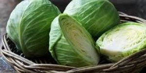 Fresh Cabbage