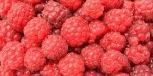 Fresh Raspberry