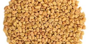 Fenugreek Seeds