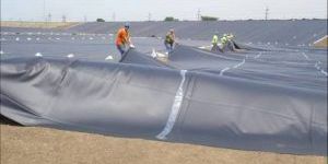 Geomembrane(HDPE/LDPE)