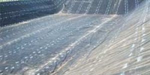 Pond Liner