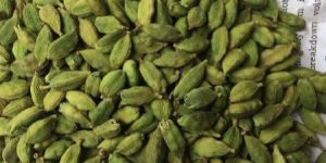 Cardamom