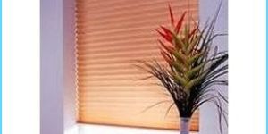Honeycomb Blinds