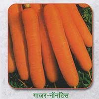 Carrot
