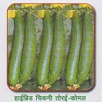 Sponge Gourd