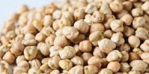 Chickpeas