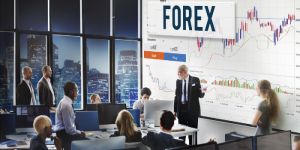 Online Live Training Program