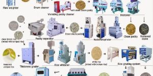 Rice Processing Equipment